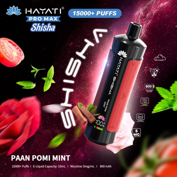 Hayati Pro Max Shisha 15000+ Prefilled Vape Puffs