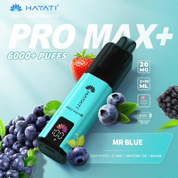 Hayati Pro Max+ 6000 Puffs Box of 10 (Only 