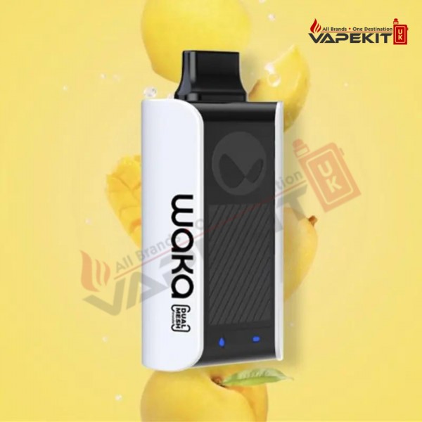 Waka Sopro 10000 Prefilled Vape Pod Puff Bar Device