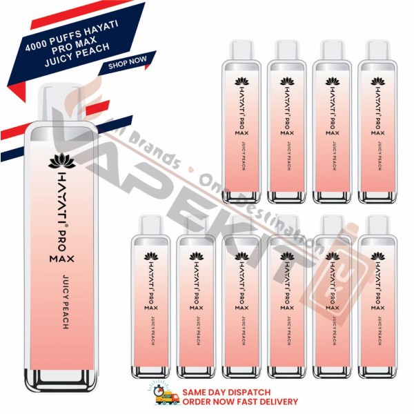 Hayati Pro Max 4000 Puffs Prefilled Vape (Just 