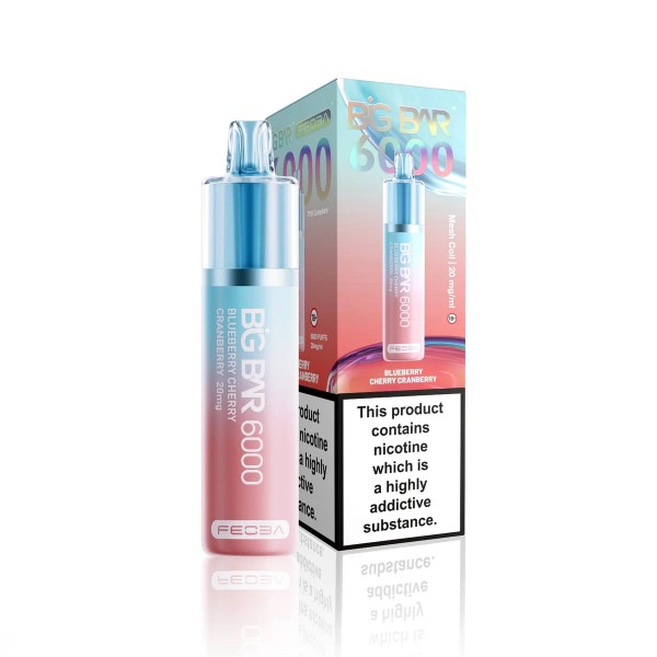FEOBA Big Bar 6000 Prefilled Vape Kit (Box of 5)