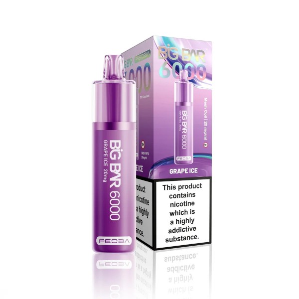 FEOBA Big Bar 6000 Prefilled Vape Kit (Box of 5)