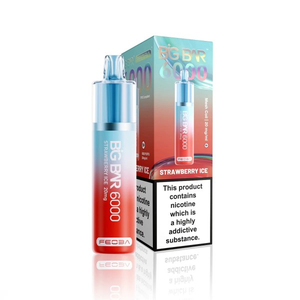 FEOBA Big Bar 6000 Prefilled Vape Kit (Box of 5)