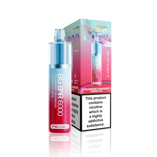FEOBA Big Bar 6000 Prefilled Vape Kit (Box of 5)